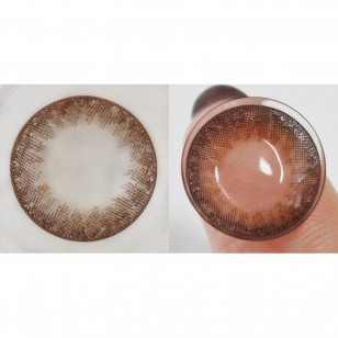 FLANMY Orange Brownie 10片裝